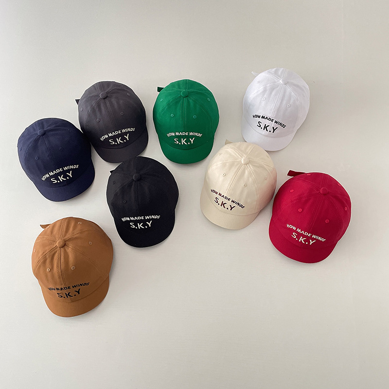 RAISE 캐주얼 레터 캡 베이비 심플 클래식 피크드  - Embroidery Cap 리뷰 및 가격
